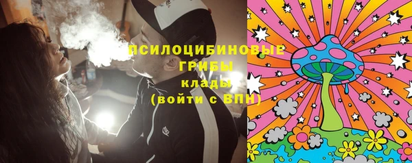 apvp Вязьма