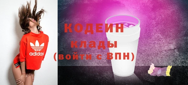 СК Волоколамск